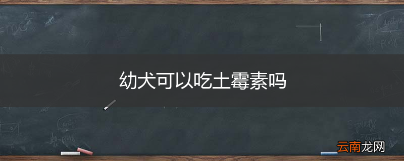 幼犬可以吃土霉素吗