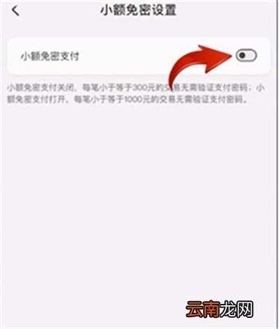 云闪付免密支付在哪设置