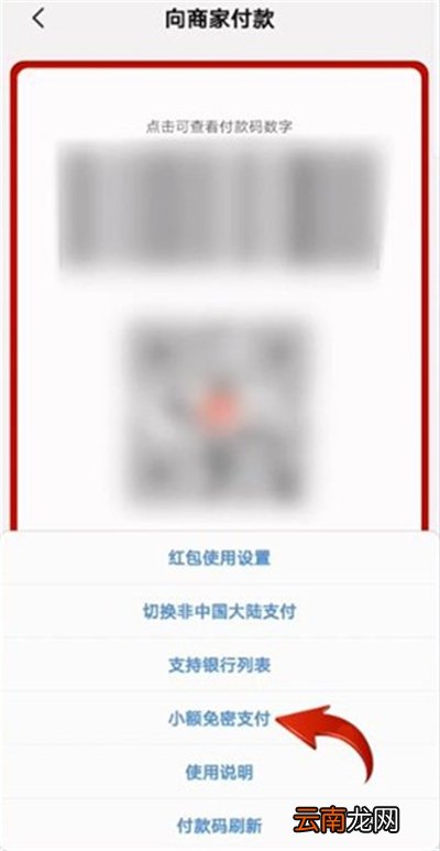 云闪付免密支付在哪设置