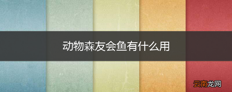 动物森友会鱼有什么用