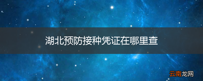 湖北预防接种凭证在哪里查