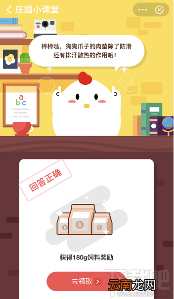 支付宝蚂蚁庄园1月6日答案 狗狗爪子肉垫有防滑作用外还能用来干嘛