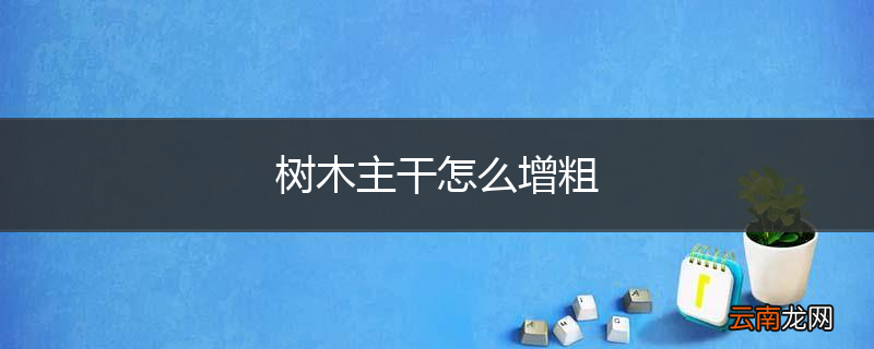 树木主干怎么增粗