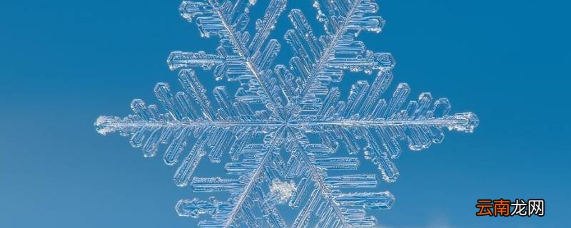 雪籽和雪花区别