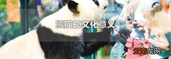 熊猫的文化意义