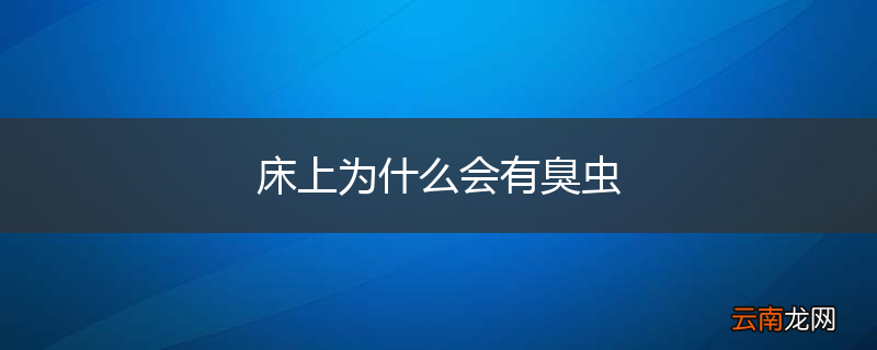 床上为什么会有臭虫