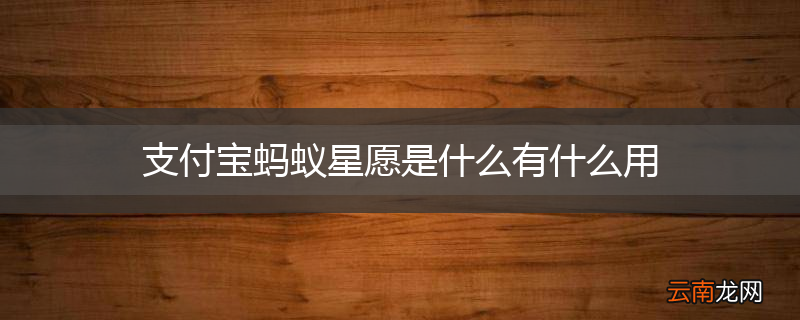 支付宝蚂蚁星愿是什么有什么用