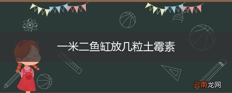 一米二鱼缸放几粒土霉素