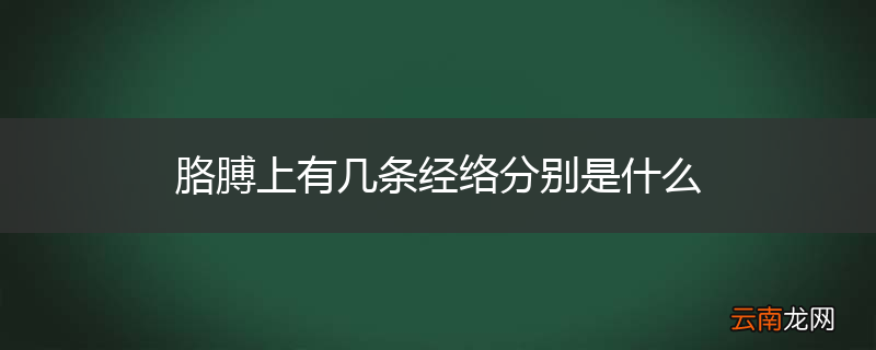 胳膊上有几条经络分别是什么