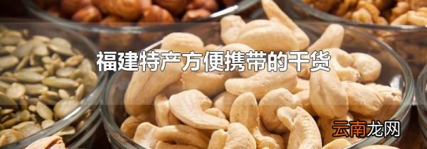 福建特产方便携带的干货