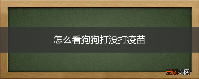 怎么看狗狗打没打疫苗