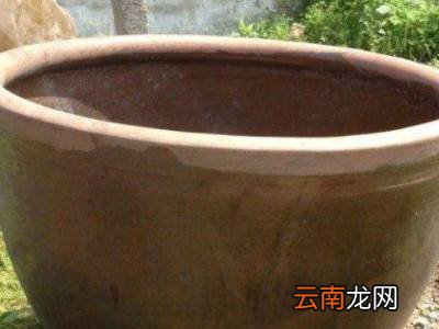 不剥皮冬笋如何保存