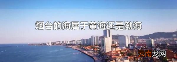 烟台的海属于黄海还是渤海