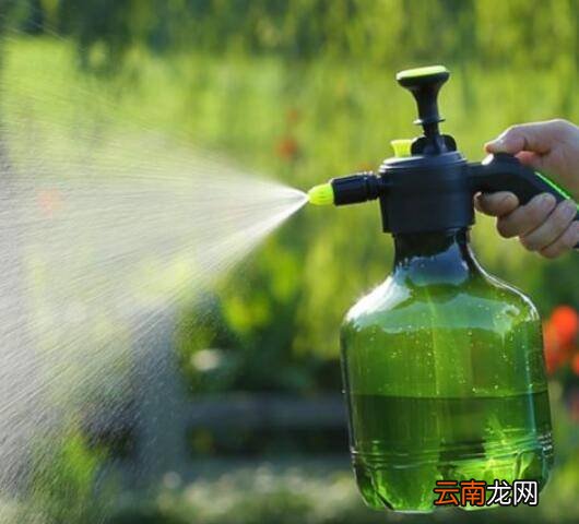 刮玻璃器清洁工具怎么用