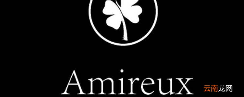 Amireux寓意