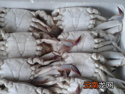 海鲜怎么保存时间长