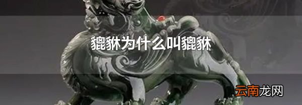 貔貅为什么叫貔貅