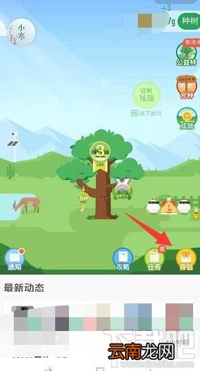 支付宝蚂蚁森林梅花挂件怎么领取？