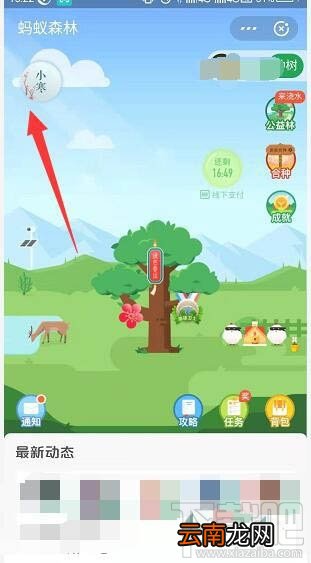 支付宝蚂蚁森林梅花挂件怎么领取？