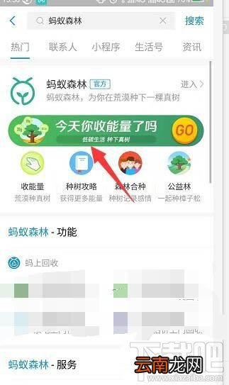 支付宝蚂蚁森林梅花挂件怎么领取？