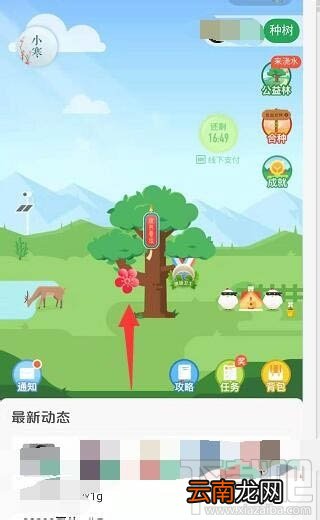 支付宝蚂蚁森林梅花挂件怎么领取？