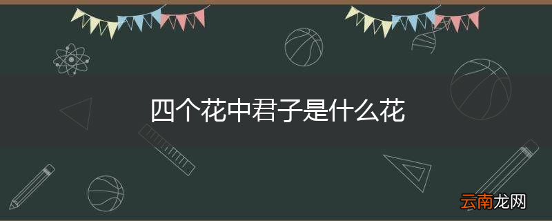 四个花中君子是什么花