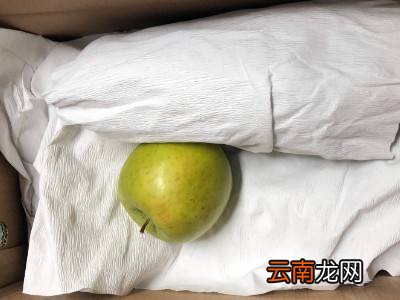 蜜薯怎么保存时间长