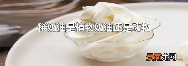 稀奶油是植物奶油还是动物