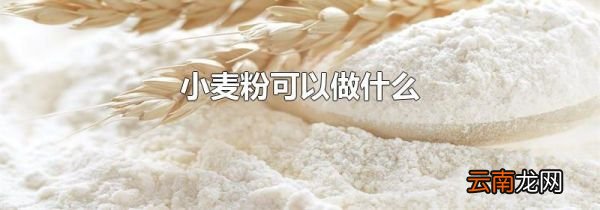 小麦粉可以做什么