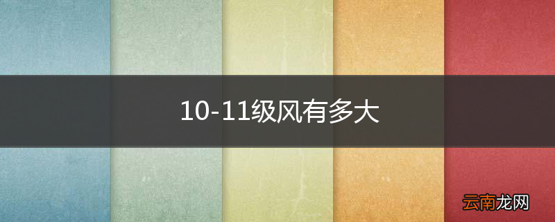 10-11级风有多大
