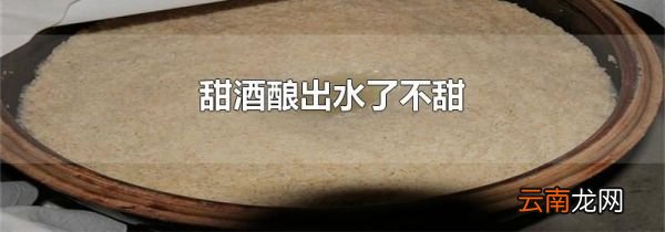 甜酒酿出水了不甜