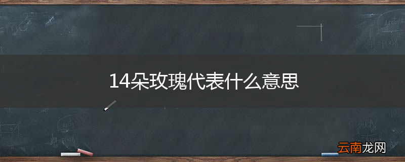 14朵玫瑰代表什么意思