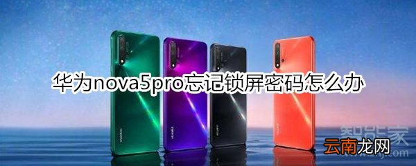 华为nova5pro忘记锁屏密码怎么办