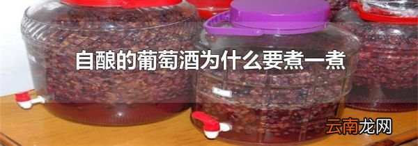 自酿的葡萄酒为什么要煮一煮