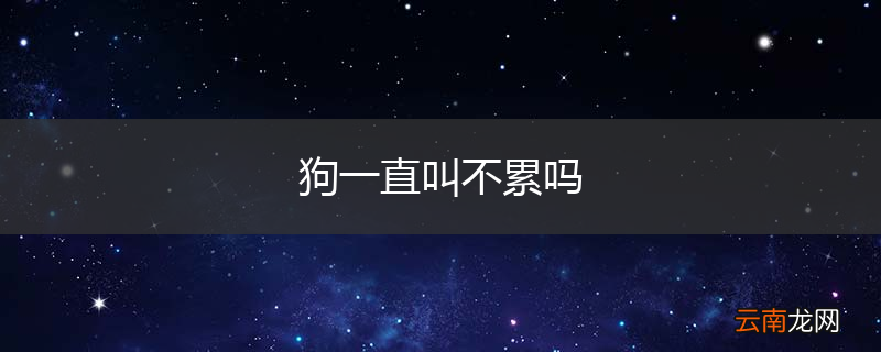狗一直叫不累吗
