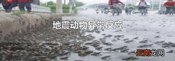地震动物异常反应