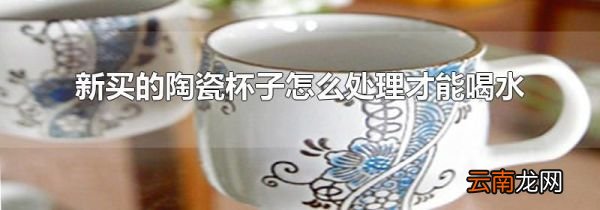 新买的陶瓷杯子怎么处理才能喝水