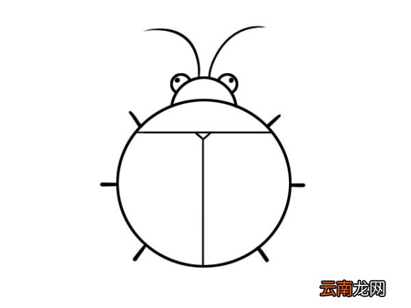 虫子简笔画 虫子简笔画画法