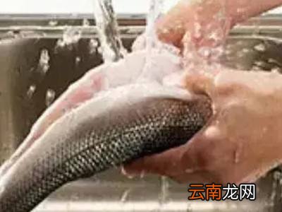 乌鱼怎么清洗