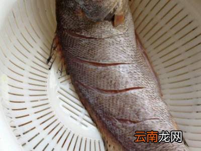 乌鱼怎么清洗