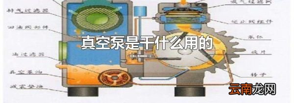 真空泵是干什么用的