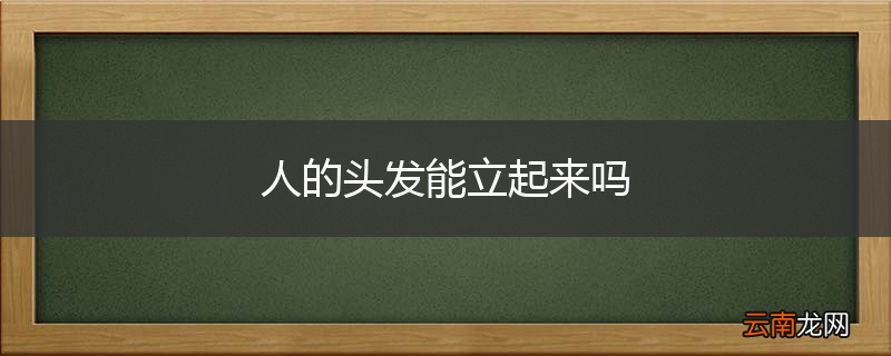 人的头发能立起来吗