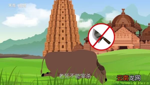 世界上牛最多的国家 世界上牛最多的国家是哪个国家