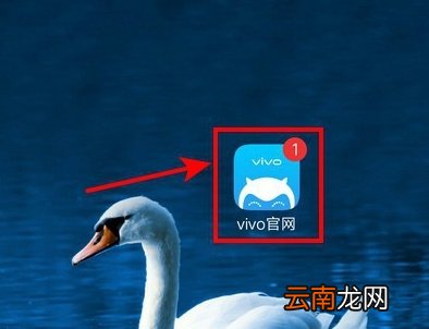 vivo怎么换账号登录