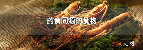 药食同源的食物