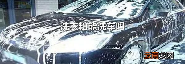 洗衣粉能洗车吗