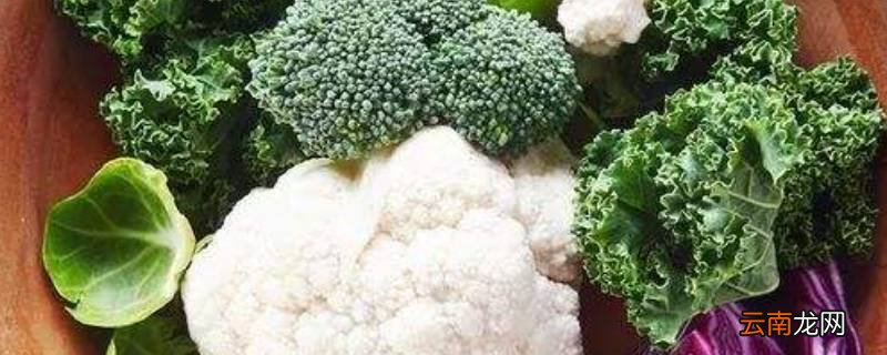 花菜类蔬菜有哪些