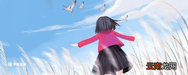青春无悔不负韶华的意思 青春无悔不负韶华的出处