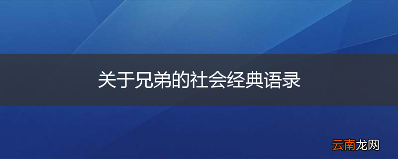 关于兄弟的社会经典语录