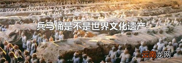兵马俑是不是世界文化遗产